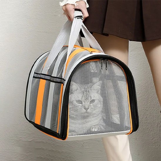 orange-Sac de transport Chat