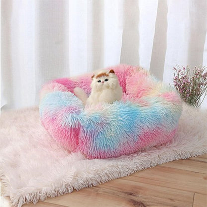 Panier Chat arc en ciel