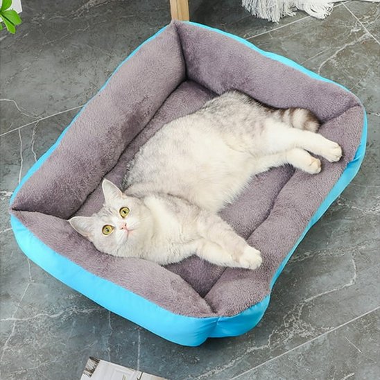 Panier Chat bleu