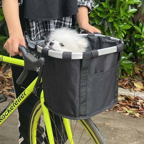 panier chien velo herbe