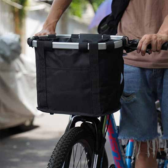 panier chien velo jeune