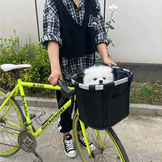panier chien velo petit