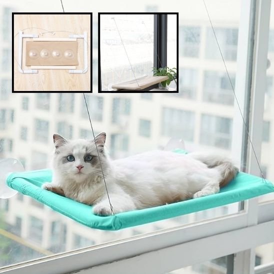 panier pour chat bleu