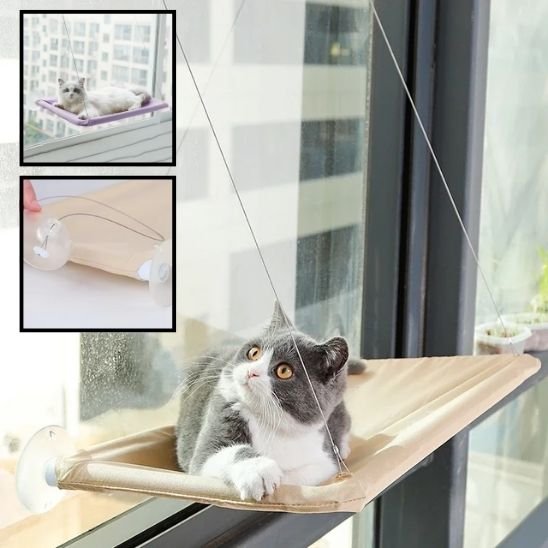 panier pour chat fenetre