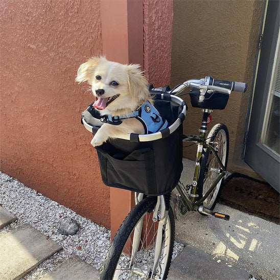 Panier velo noir chien 