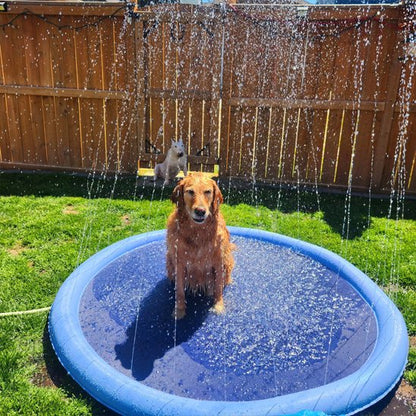 Piscine pour chien fresh summer