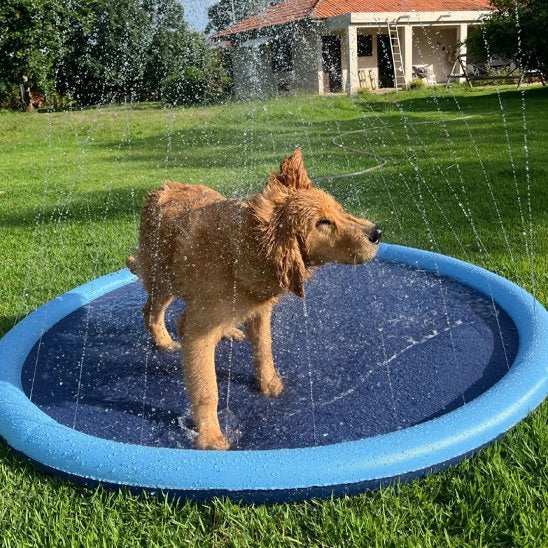 Piscine pour chien fresh