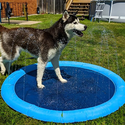 Piscine pour chien summer