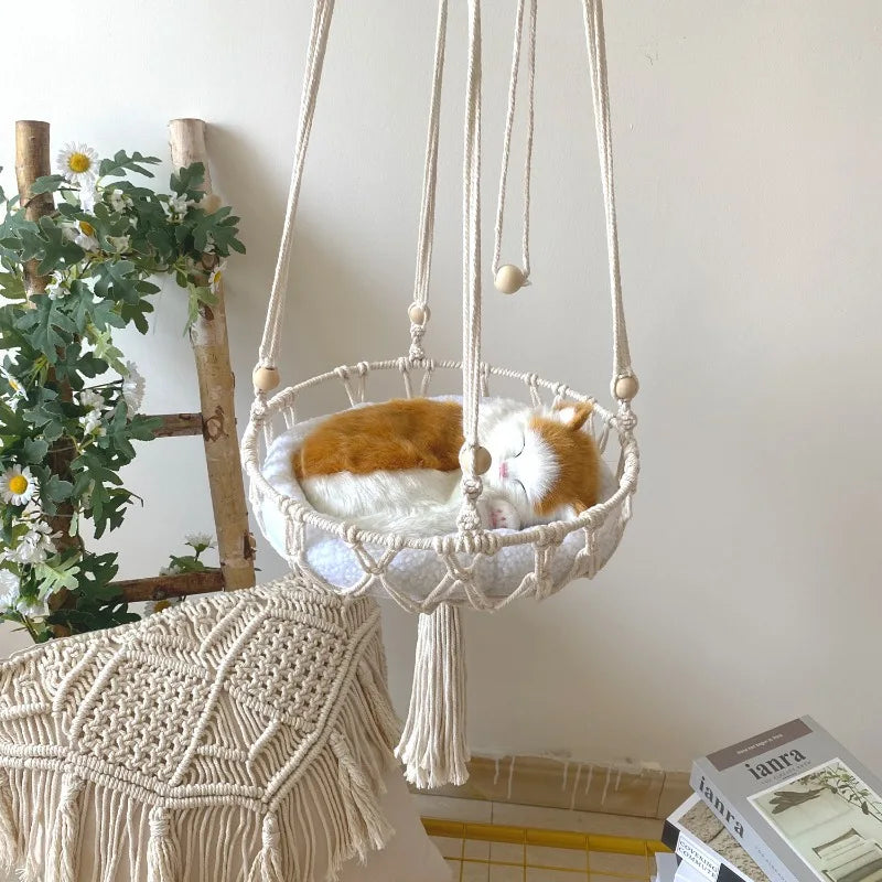 plante hamac pour chat