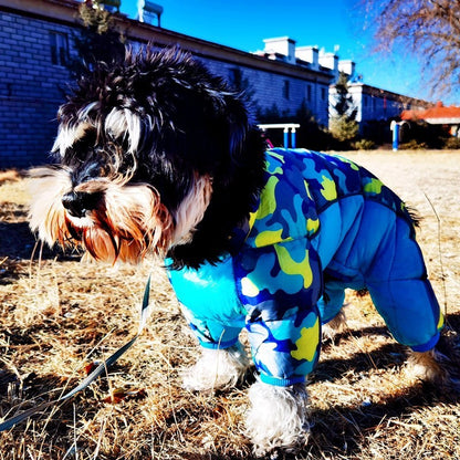 plein air manteau chien