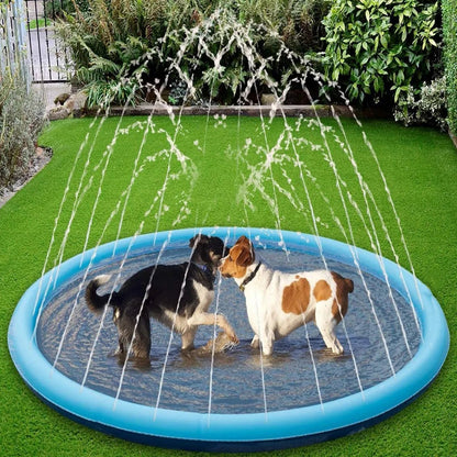 pool chien cour