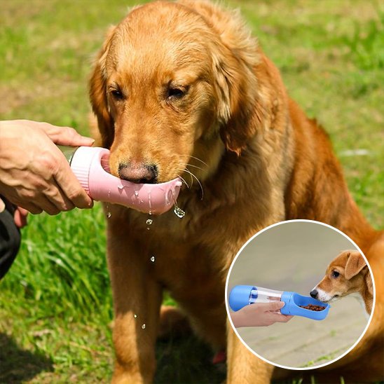 portable Gourde chien