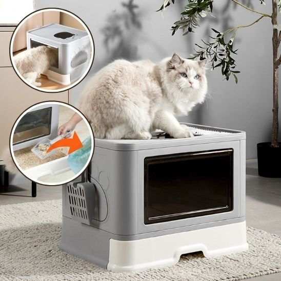 pratique bac litiere chat