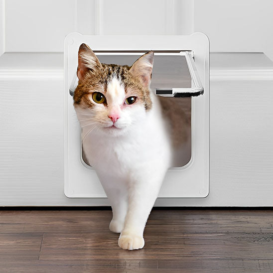 pratique chatiere pour chat