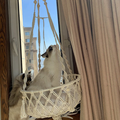 proche fenetre hamac pour chat