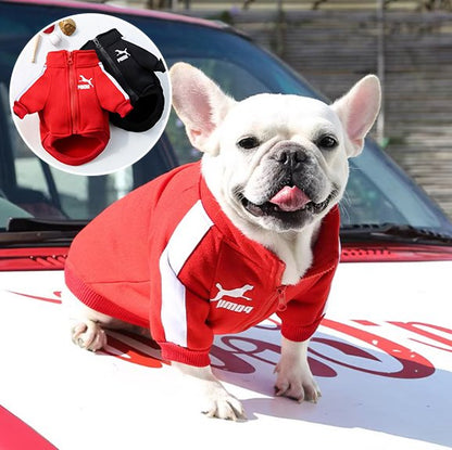 Pull chien Tendance Confort rouge