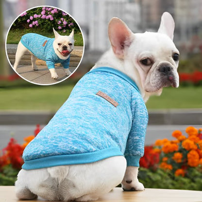 Pull chien bleu