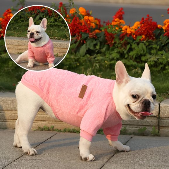 Pull chien rose