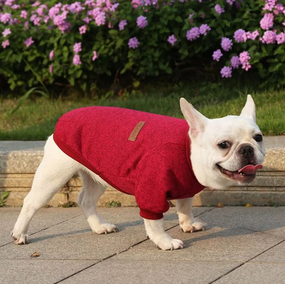 Pull chien rouge confortable