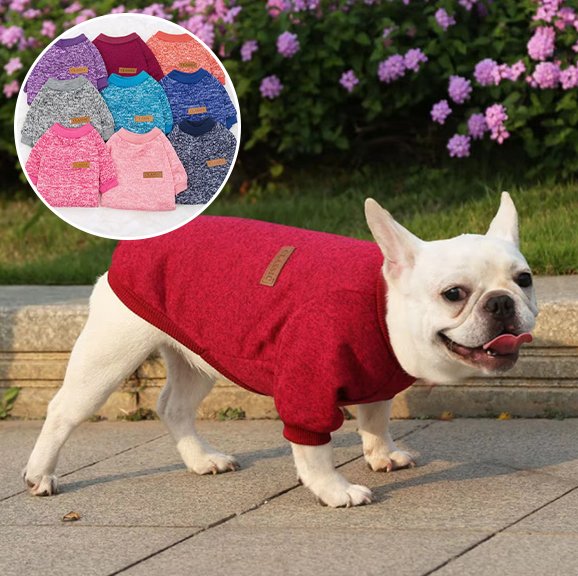 Pull chien rouge