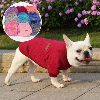Pull chien rouge