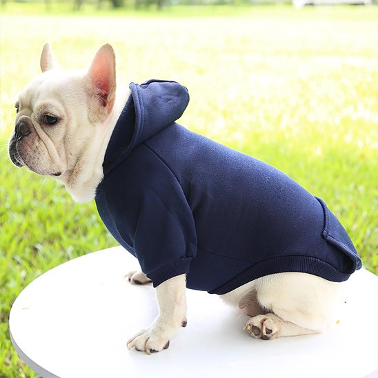Pull pour chien bleu