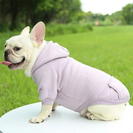 Pull pour chien mauve