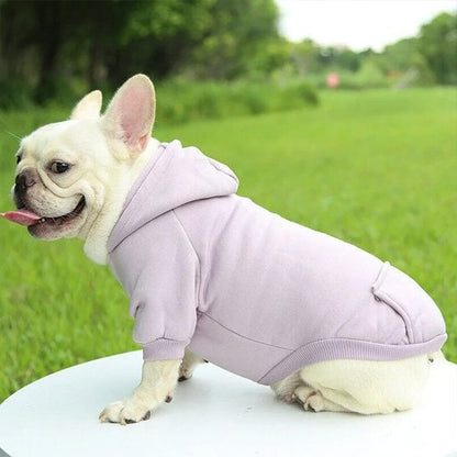 Pull pour chien mauve