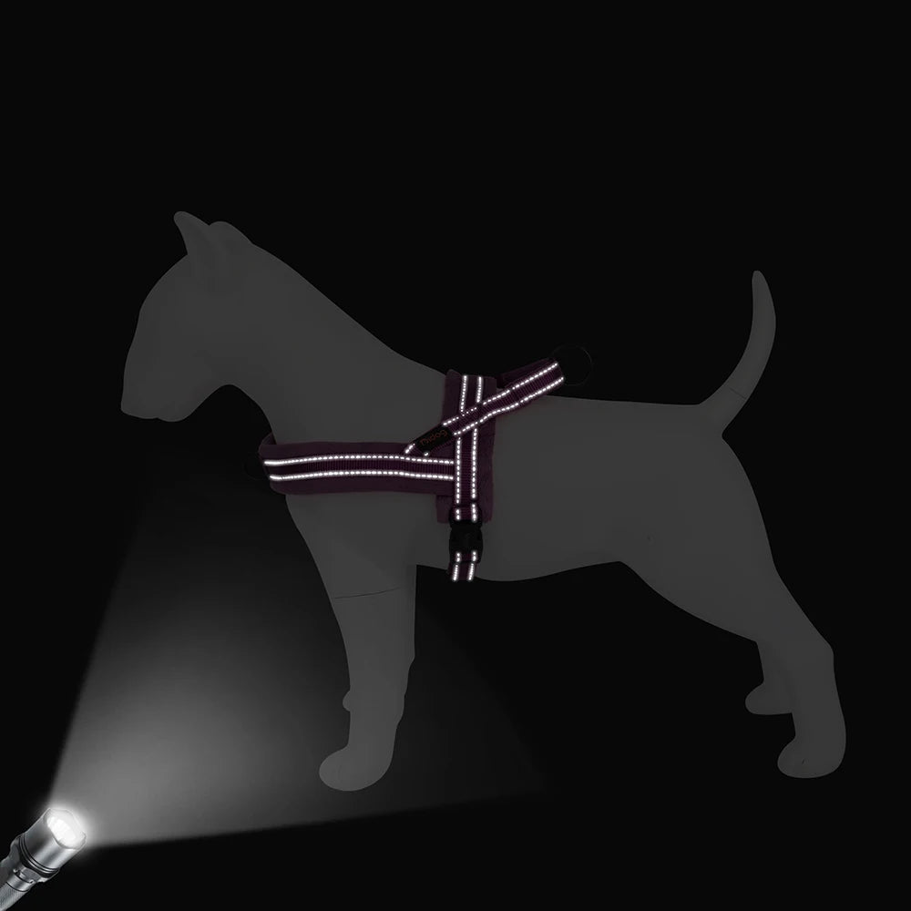 reflechissante harnais chien anti traction
