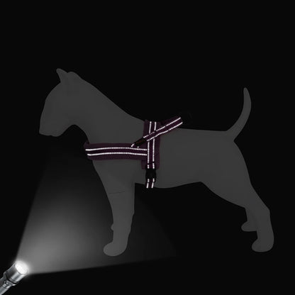 reflechissante harnais chien anti traction