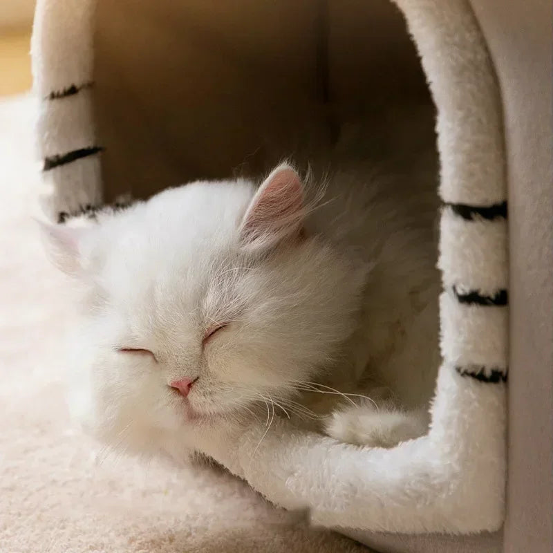 reve niche pour chat