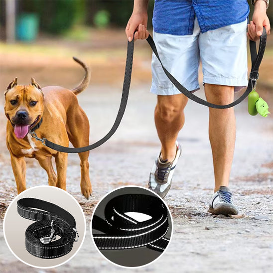 robuste laisse pour chien