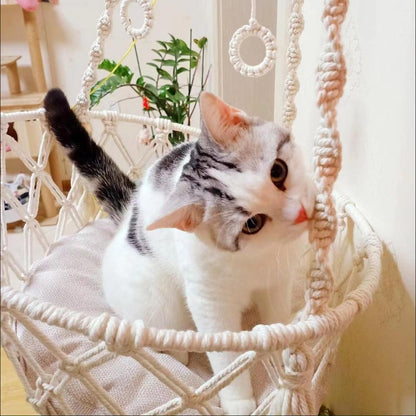 ronron hamac pour chat