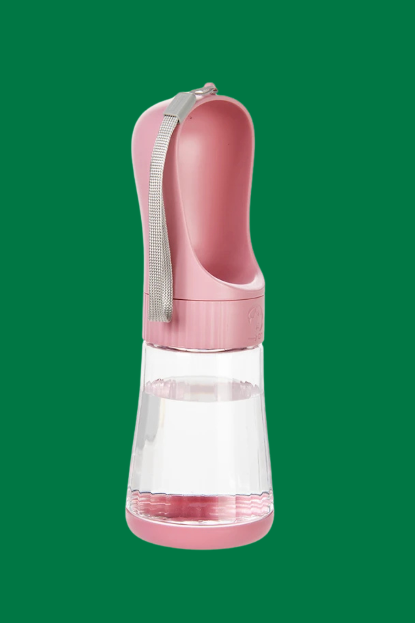 rose gourde chien 