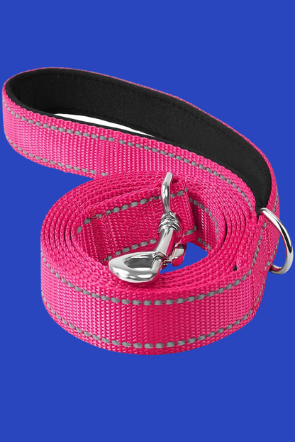 rose laisse pour chien
