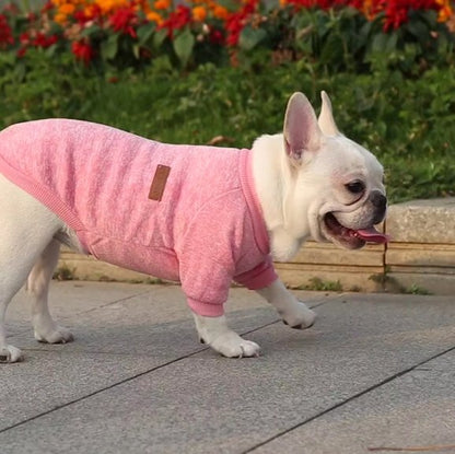rose Pull chien