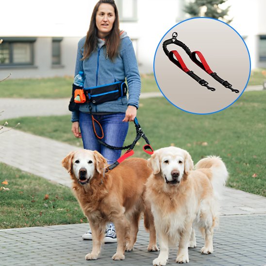 rouge double laisse pour chien