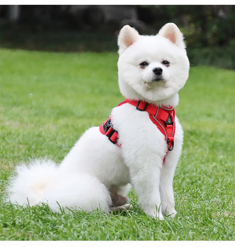 rouge harnais pour chien