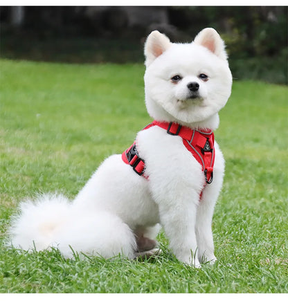 rouge harnais pour chien