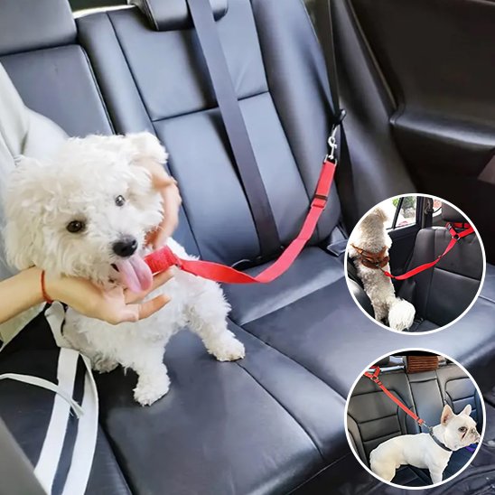 rouge Laisse chien Ultra-Résistante