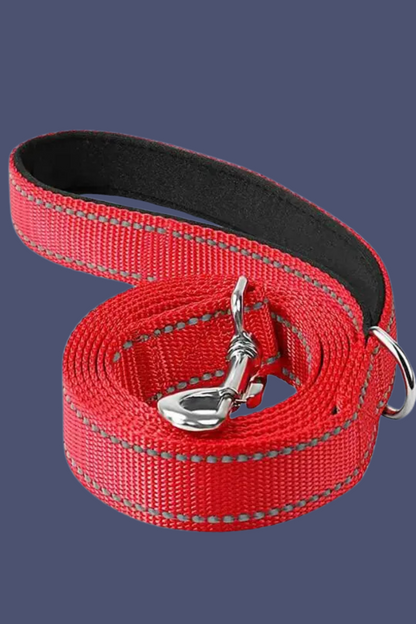 rouge laisse pour chien 