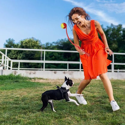 rouge Lanceur de balle pour chien