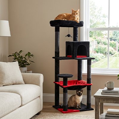 rouge-noir Arbre à Chat 