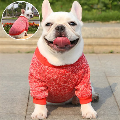 rouge Pull chien