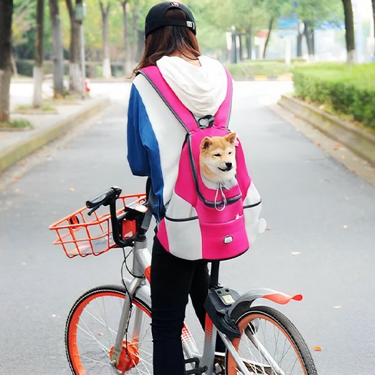 Sac à dos pour chien 