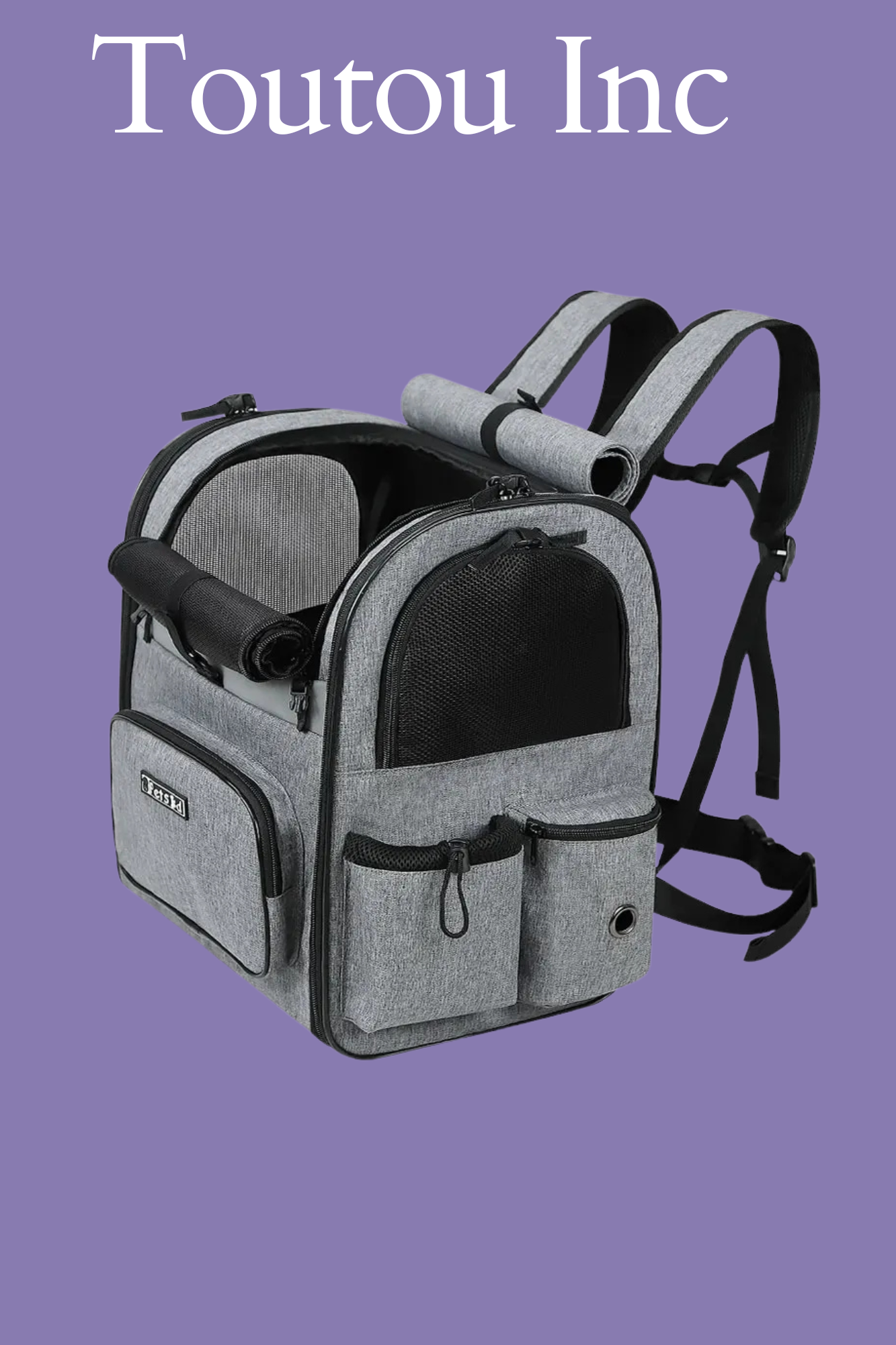 sac a dos chien gris