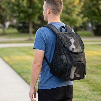 Sac a dos chien noir