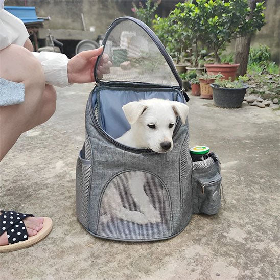 sac a dos chien 