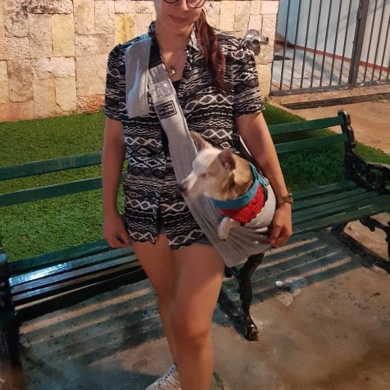 sac a dos pour chien gris