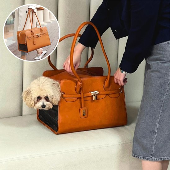 Sac brun de transport pour chien